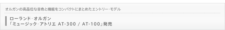 IK̍iʂȉFƋ@\RpNgɂ܂Ƃ߂Gg[Ef@[hIKu~[WbNAgG AT-300 / AT-100v